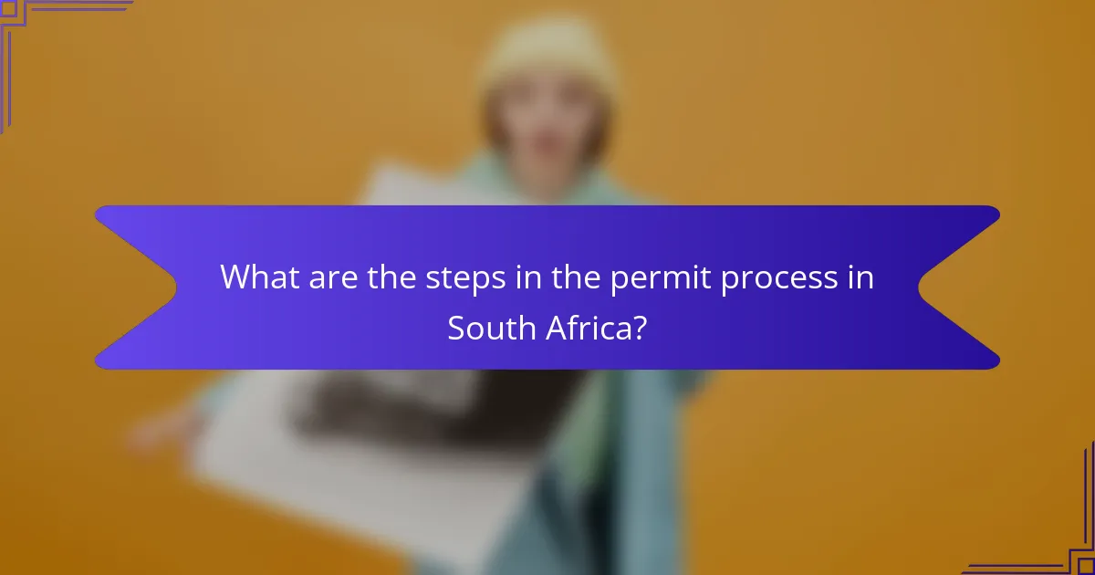What are the steps in the permit process in South Africa?